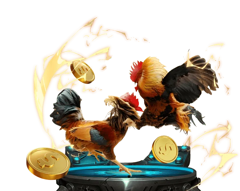 Tính năng phát trực tiếp các trận đấu thể thao